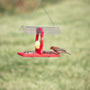 OakridgeStores.com | SE Rubicon - Recycled Plastic Double Bowl Feeder - For Songbirds - SERUB1000 645194022416