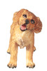 OakridgeStores.com | Aztec - Golden Retriever Puppy - 1:12 Scale Dollhouse Miniature Figure - A6027