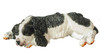 OakridgeStores.com | Aztec - English Springer Spaniel - Dog Figure - 1:12 Scale Dollhouse Miniature - A6033
