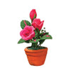 OakridgeStores.com | Aztec - Pink Roses in Pot - 1" Scale Dollhouse Miniature Plant - B0550