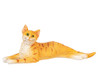 OakridgeStores.com | Aztec - Stretched Cat Orange - 1:12 Scale Dollhouse Miniature Figure - E0181