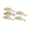 OakridgeStores.com | Aztec - Fish, Set of 5 - 1" Scale Dollhouse Miniature - G5957