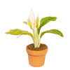 OakridgeStores.com | Aztec - Peace Lily in Pot - Potted Plant - 1:12 Scale Dollhouse Miniature - G6404