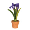 OakridgeStores.com | Aztec - Potted Iris - Purple - 1" Scale Dollhouse Miniature Plant - G6787