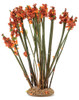 OakridgeStores.com | Creative Accents - CABL - Ocotillo - Landscape Plant - 1:12 Scale Dollhouse Miniature Plant - 0320 783970802859