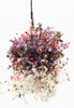 OakridgeStores.com | Creative Accents - CABL - Hanging Basket Grandma's Garden Large - 1:12 Scale Dollhouse Miniature Plant - HBL32 783970803351