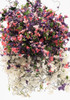 OakridgeStores.com | Creative Accents - CABL - Hanging Basket Grandma's Garden Large - 1:12 Scale Dollhouse Miniature Plant - HBL32 783970803351