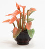 OakridgeStores.com | Creative Accents - CABL - Red Plant in Brown Pot - 1 Scale Dollhouse Miniature Plant - PP3 783970803184