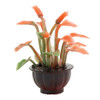 OakridgeStores.com | Creative Accents - CABL - Red Plant in Brown Pot - 1 Scale Dollhouse Miniature Plant - PP3 783970803184