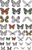 OakridgeStores.com | Tim Holtz - Advantus - 72/Pkg - Idea-Ology Transparent Acetate Wings - Embellishments - TH93785 040861937855
