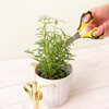 OakridgeStores.com | American Crafts - Cutter Bee Herb Scissors - Yellow/Black, Sharp Tip - 55900026 015586026320