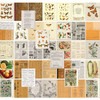 OakridgeStores.com | 49 and Market - Color Swatch: Peach - Collage Sheets Set - 6 x 8 inches - 40 Sheets - CSP-24982 786724924982