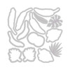 OakridgeStores.com | Sizzix - Stay Wild #2 by Catherine Pooler - Thinlits Die Set, 14/Pkg - 666661 630454289449