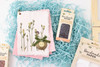 OakridgeStores.com | American Crafts - Small Rectangle - Handmade Paper Mould & Deckle Kit - 5 x 7 inches - 34017563 718813186018