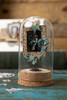 OakridgeStores.com | Tim Holtz - Sizzix - Vault Matchbox - Thinlits Dies, 10/Pkg - 666604 630454289180
