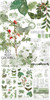 OakridgeStores.com | 49 and Market - Color Swatch: Willow - Rub-On Transfer Set - WCS-27976 786724927976