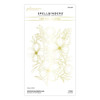 OakridgeStores.com | Spellbinders - Glimmering Buttercups - Glimmer Hot Foil Plate - GLP-435 810146541929