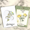 OakridgeStores.com | Lisa Horton Crafts - Echinacea - Layering Dies Set - LHCCD285 632793479055