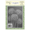 OakridgeStores.com | Lisa Horton Crafts - Blooming Coneflower Stems - 5 x 7 Embossing Folder - LHCEF198 632793479840