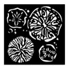 OakridgeStores.com | Stamperia Intl - Silent Sea - Stencil Assortment, 8 Stencils in Mixed Sizes - KSTDX01