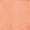 OakridgeStores.com | 49 and Market - Curiosities In Willow Grove - Staples Pack 12 x 12 inches - VBWG-33458 786724933458