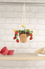 OakridgeStores.com | DMC - Summer Strawberries by Nuria Picos - Intermediate Amigurumi Kit - CR130K