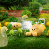 OakridgeStores.com | Bucilla - Zesty Besties - Amigurumi Kit - 5-inch - 49829E 046109498294