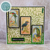 OakridgeStores.com | Craft Consortium - Birds - The Collector Ephemera, 30 Pieces - CEEPH002