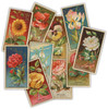 OakridgeStores.com | Craft Consortium - Flowers - The Collector Ephemera, 30 Pieces - CEEPH003