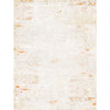 OakridgeStores.com | 49 and Market - From the Garden - 6 x 8 Collection Pack - FTG-35308 786724935308