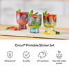 OakridgeStores.com | Cricut - Transparent Holographic - Printable Waterproof Sticker Set, 5 pc - 2011886 093573667398