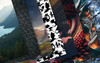 OakridgeStores.com | Reminisce - Dragon Training - Reminisce Collection Kit 12 x 12 inches - DRG-200 840310210887