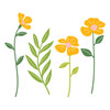 OakridgeStores.com | Spellbinders - Leaf & Bloom - Etched Dies - Poppy Song Collection - S4-1512 810176109892