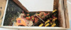 OakridgeStores.com | RESALE SHOP - VTG OOAK Autumn Scene Room Box With Scarecrow and Pumpkin Farm 1:12 - BABE-AUTUMNSCENE-LN7565