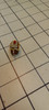 OakridgeStores.com | RESALE SHOP - VTG Unbranded 1:12 Scale Extra Mini Teapot -Gingerbread House - BOST-EMTH1-LN7534