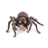 OakridgeStores.com | Papo - Giant Spider Arachnos - Fantasy Creature Figurine for Ages 3+ - 36048 3465000360481