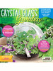 OakridgeStores.com | Toys By Nature - Crystal Glass Garden - Eucalyptus, Lavender & Alyssum Terrarium Kit - OGCG-205 810003402059