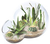 OakridgeStores.com | Toys By Nature - Desert Escape Growarium - Double-Sphere Terrarium Kit w/ Cacti & Succulent Seeds - TGDE-221 810003402219