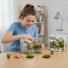OakridgeStores.com | Toys By Nature - Bonsai Moss & Rock Garden - Wave Terrarium Live Moss Kit w/ Mister & Accessories - WTBM-631 810003406316