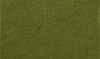 OakridgeStores.com | Woodland Scenics - Green Base Layer - Ground Cover - 19.5 in3 - G6421 724771064213
