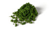 OakridgeStores.com | Woodland Scenics - Foliage Clumps - Medium Green (All Game Terrain) - 9.72 in3 - G6462 724771064626