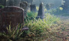 OakridgeStores.com | Woodland Scenics - 4 mm Light Green Static Grass - 28 g - All Game Terrain - G6571 724771065715