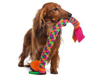 Dog Toys