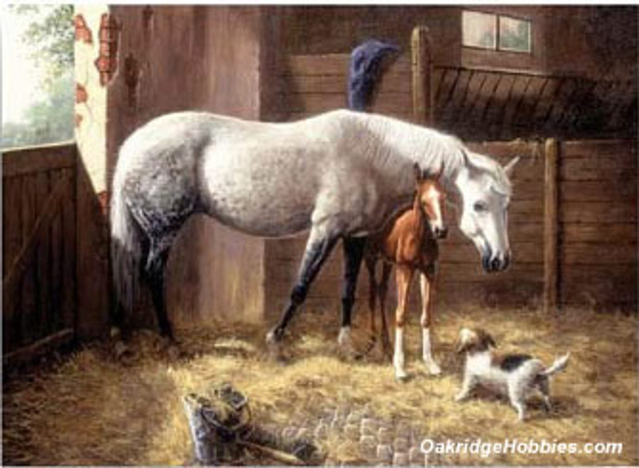 Horse & Foal Large Paint by Numbers Kit for Adults Free Shipping From  California, USA -  Australia