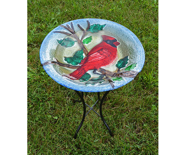Majestic Cardinal Embossed Glass Birdbath with Stand - Thumbnail 2