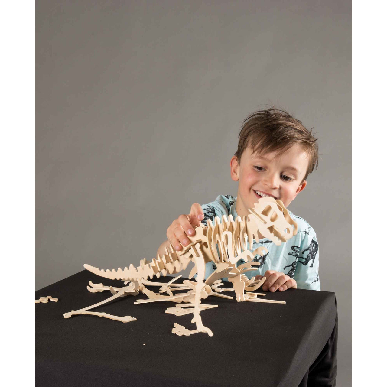 Great deals on Heebie Jeebies - Large Tyrannosaurus Dinosaur 3D