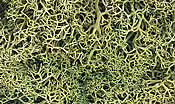 L162 Lichen Light Green 1.5 Qua