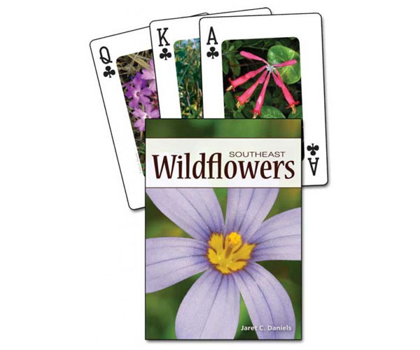 ADVENTURE KEEN - Wildflowers of the Southeast Playing Cards Kids Game (AP33687)