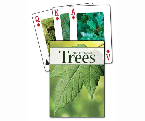 ADVENTURE KEEN - Trees of the Northeast Playing Cards Game (AP33915)