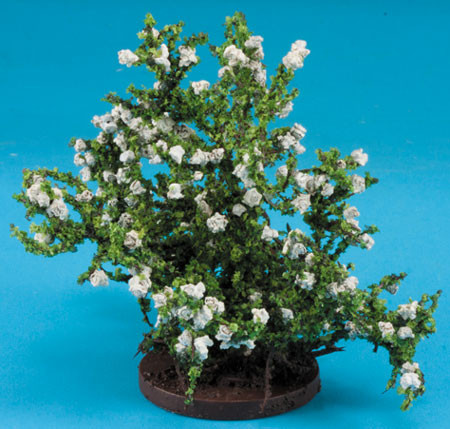 CARRUDUS - 1" Scale Rose Bush Small White Dollhouse Miniature (BSW)